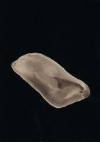 http://www.actionaqua.com/files/gimgs/th-121_Scannen 3invert_v2.jpg